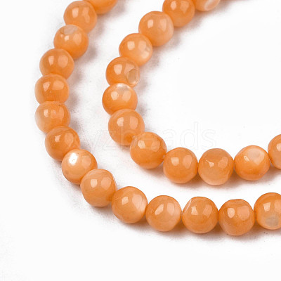 Natural Freshwater Shell Beads Strands SHEL-N003-24-B07-1