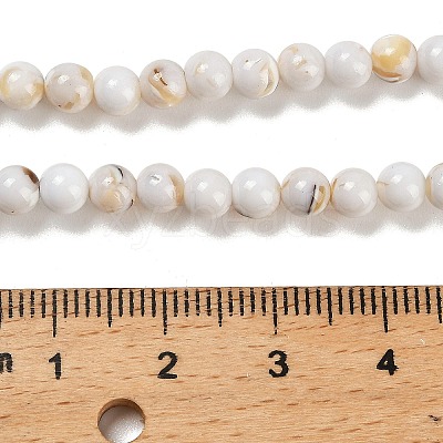 Assembled Synthetic Stone and Trochus Shell Beads Strands G-B128-08A-01-1