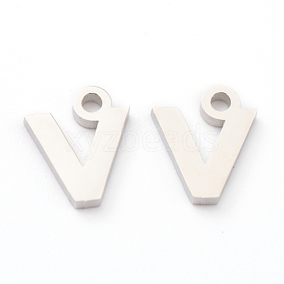 Non-Tarnish 304 Stainless Steel Charms STAS-G244-01N-1