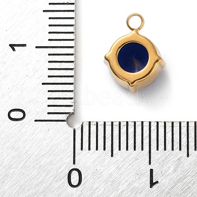 304 Stainless Steel Micro Pave Cubic Zirconia Pendants STAS-K292-01G-09-1