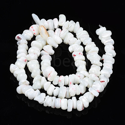 Natural Freshwater Shell Beads Strands SHEL-N003-23-1