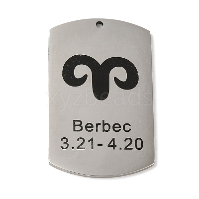 Non-Tarnish 304 Stainless Steel Pendants LS-STAS-C098-01C-P-1