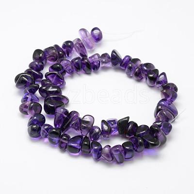 Natural Amethyst Beads Strands G-F521-19-1