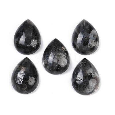 Natural Larvikite Cabochons G-H094-01A-15-1