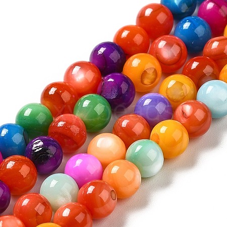 Dyed Natural Freshwater Shell Beads Strands SHEL-G014-05D-01-1