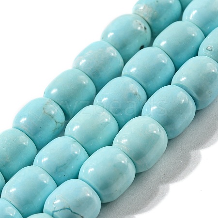 Natural Howlite Beads Strands G-L603-A01-01-1