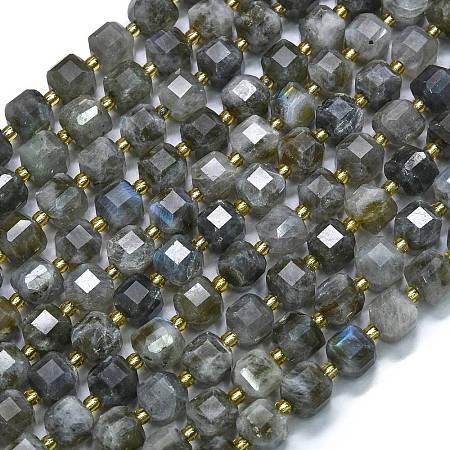 Natural Labradorite Beads Strands G-K389-A68-01-1