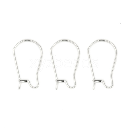 304 Stainless Steel Hoop Earring Findings STAS-P223-01S-01-1