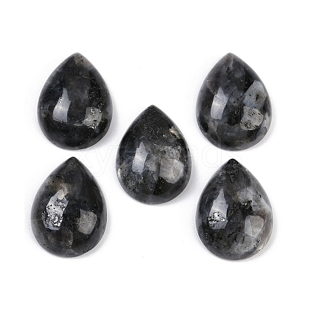 Natural Larvikite Cabochons G-H094-01A-15-1