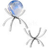Alloy Display Holder ODIS-WH0081-06P-02-1