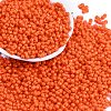 Baking Paint Glass Seed Beads SEED-K010-A10-1