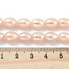 Natural Cultured Freshwater Pearl Beads Strands PEAR-P062-10G-5