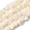 Natural White Mother of Pearl Shell Chip Bead Strands G-M205-63-2