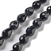 Natural Black Agate Beads Strands G-P520-B15-01-1