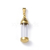 304 Stainless Steel Big Pendants STAS-D097-01C-G-1