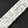 Natural Howlite Beads Strands G-I341-04-3