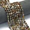 Natural Gobi Agate Beads Strands G-K389-B72-01-1