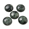 Natural Kambaba Jasper Cabochons G-C115-02B-24-1