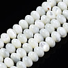 Natural Trochid Shell/Trochus Shell Beads Frames Strands SSHEL-S266-028-1