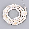 Natural Freshwater Shell Beads Strands SHEL-N027-09A-2
