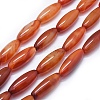 Natural Red Agate Beads Strands G-I245-11H-1