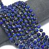 Dyed Natural Lapis Lazuli Beads Strands G-K389-E63-01-2