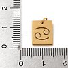 304 Stainless Steel Charms STAS-R001-03G-04-3