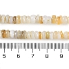 Natural Freshwater Shell Beads Strands BSHE-H109-13B-5