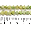 Natural Dolomite Beads Strands G-F765-H04-01-5