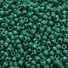 TOHO 6/0 Round Beads X-SEED-TR06-0055D-4