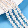 Natural Cultured Freshwater Pearl Beads Strands PEAR-N016-06C-2