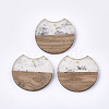 Resin & Walnut Wood Pendants X-RESI-T023-A-11I-1