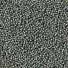 TOHO Round Seed Beads SEED-XTR11-PF0565F-2