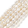 Natural Cultured Freshwater Pearl Beads Strands PEAR-Z002-01-1