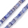 Handmade Lampwork Beads Strands LAMP-Q037-02A-04-1