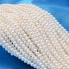 Round Shell Pearl Bead Strands BSHE-L011-2.5mm-A013-1