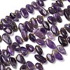 Natural Amethyst Beads Strands G-P604-A16-01-2