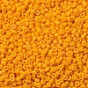 MIYUKI Round Rocailles Beads SEED-G007-RR4453-3