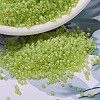 MIYUKI Delica Beads SEED-MY11-DB0860-1