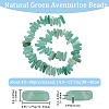 Beebeecraft 1 Strand Natural Green Aventurine Beads Strands G-BBC0001-22-2