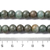 Ombre Effect Dyed Glass Beads Strands GLAA-T031-01O-13-5