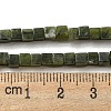 Natural Peridot Beads Strands G-C129-A04-01-5