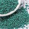 MIYUKI Round Rocailles Beads X-SEED-G008-RR0435-1