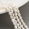 Natural Keshi Pearl Cultured Freshwater Pearl Beads Strands PEAR-P062-25E-2