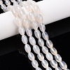 Natural White Agate Beads Strands G-T138-180A-1