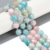 Natural Amazonite & Kunzite & Aventurine Beads Strands G-O201B-149H-1