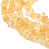 Chip Natural Citrine Beads Strands G-N0134-21-3