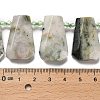 Natural Tree Agate Beads Strands G-H078-A09-01-4