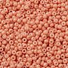 MIYUKI Round Rocailles Beads X-SEED-G008-RR4462-2