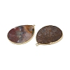 Natural Indian Agate Pendants G-E526-01Z-2